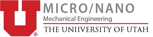 Micro/Nano Track Logo